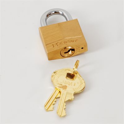Affordable padlock for securing or double-locking medical cabinets