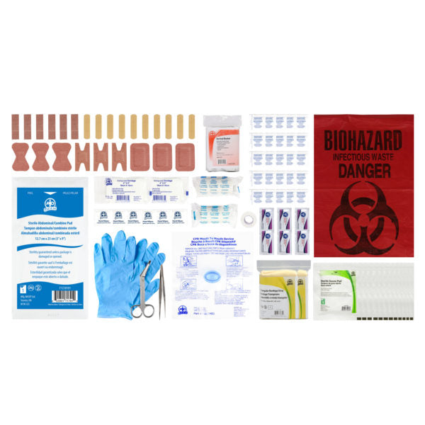 CSA Type 2 First Aid Kit: Small & Essential Supplies