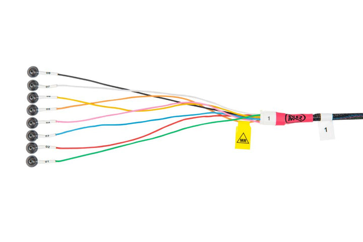 Rhythmlink Quick Connect EEG system components layout