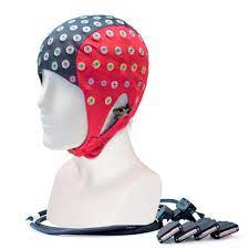 Waveguard reusable clinical EEG cap on mannequin