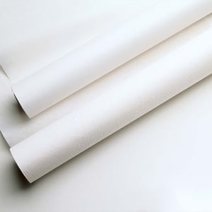TIDI Everyday Exam Table Barriers 980914
