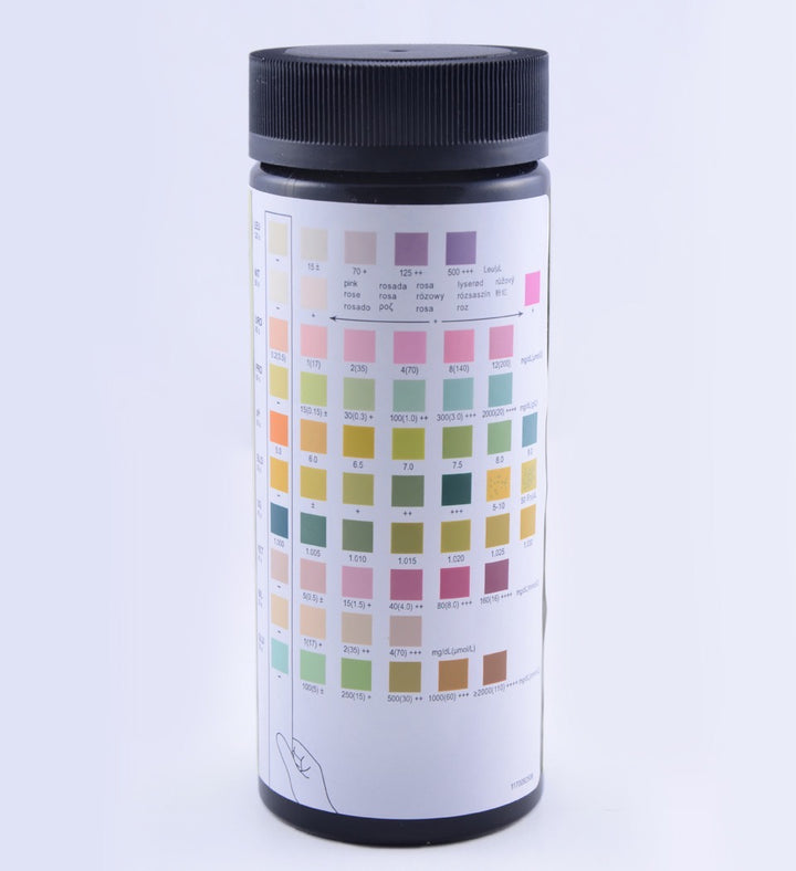 Analyse d'urine à 10 paramètres : bilan de santé complet