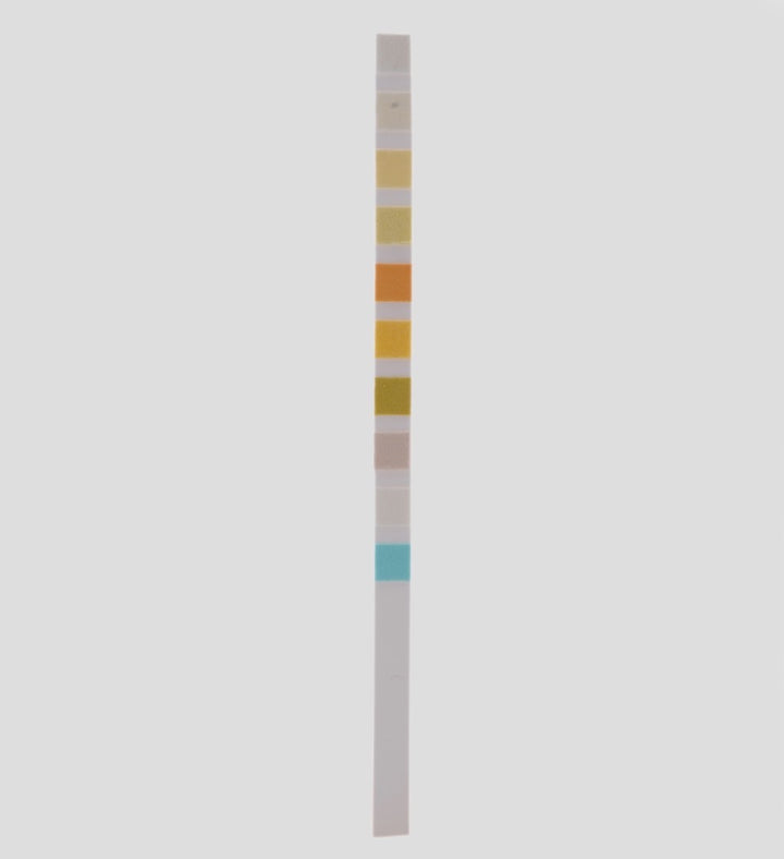 Analyse d'urine à 10 paramètres : bilan de santé complet