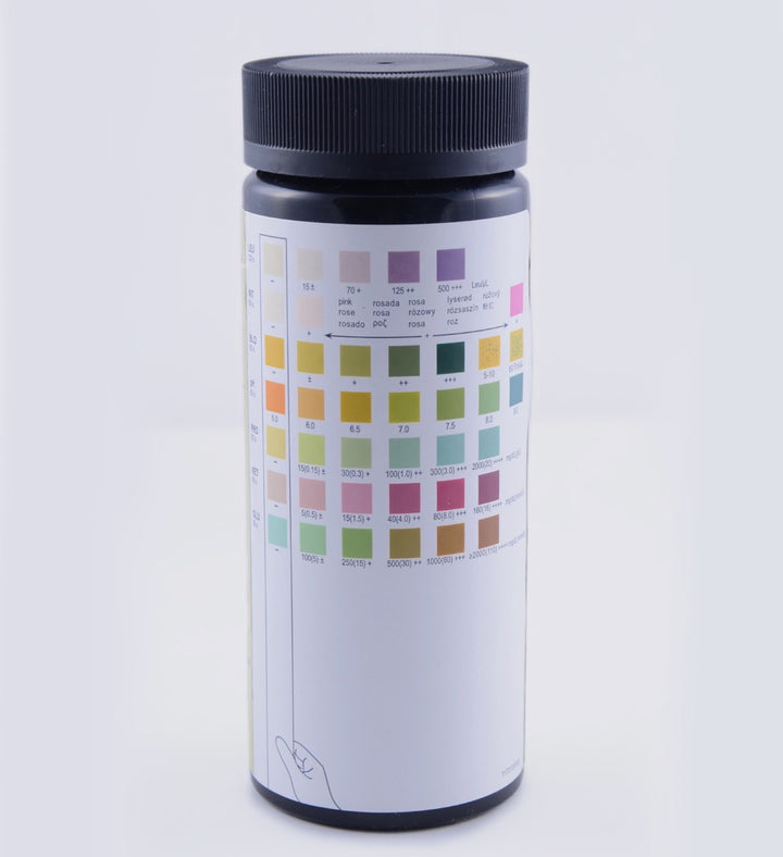 Bandelettes de test d'analyse d'urine à 7 paramètres : rapides et complètes