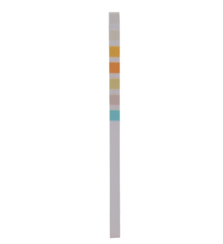 Bandelettes de test d'analyse d'urine à 7 paramètres : rapides et complètes