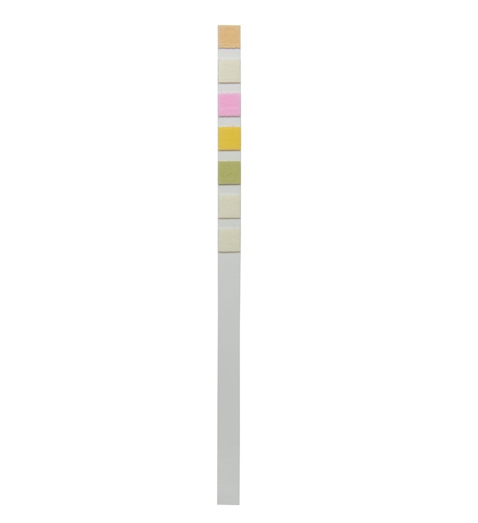 Urine Adulteration Test Strip: Detect Tampering Attempts