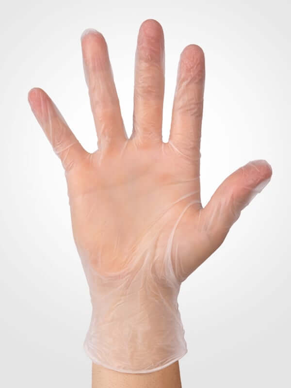 Aurelia Delight PF Vinyl Gloves