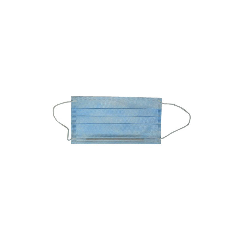 Procedure Mask with Earloop