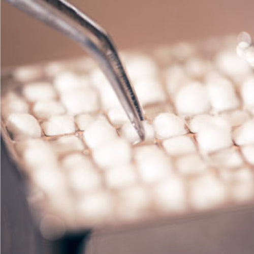 Super Absorbent Cotton Pellets: Dental Dryness (Richmond) – MedSupply